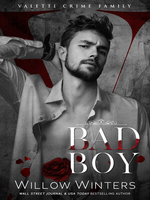 cover image of Bad Boy